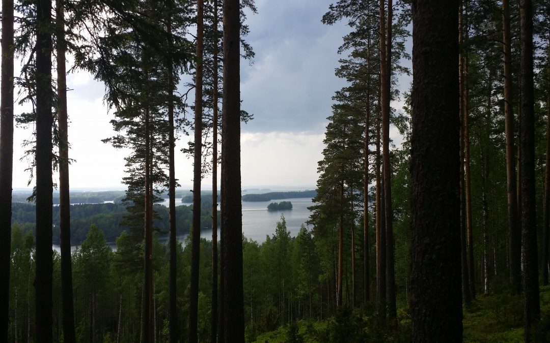 Maisema Kallavedelle Puijonsarven nuotiopaikalta toukokuun lopussa